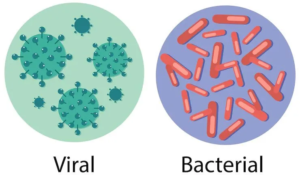 How To Cure Viral Infection Versus Bacterial Infection: