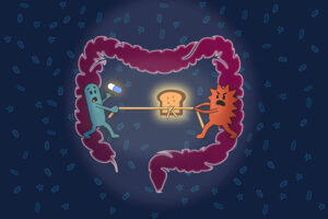 How Gut Microbiome Transit Time Gets Disrupted: