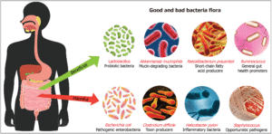 How Gut Health Supports Strep Throat Treatment Home Recovery