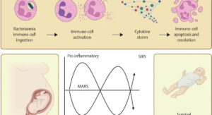 Who Faces the Most Risk Across the Bacteremia vs Sepsis Range: