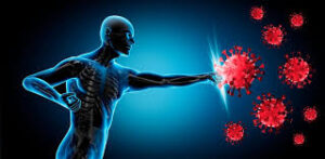 Does the Human Body Self Heal Through the Immune System