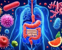 Gut Microbiome Transit Time - 7 Shocking Secrets!