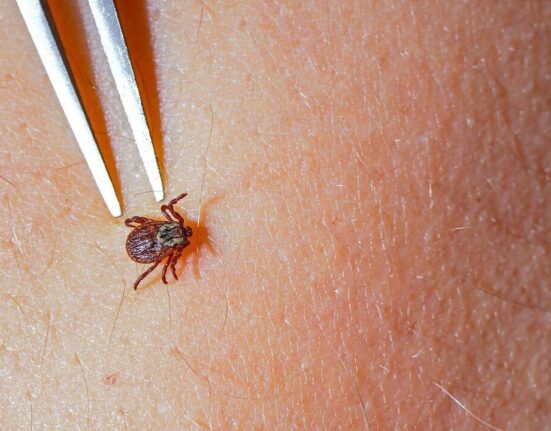 Symptoms of Lyme Disease - 7 Shocking Realities!