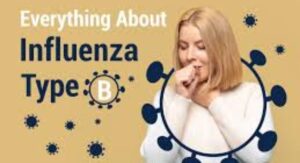 Why Influenza B Gets Underestimated Every Single Season: