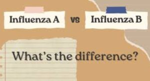 Flu Type A and Its Yearly Patterns flu type a vs b Explained: