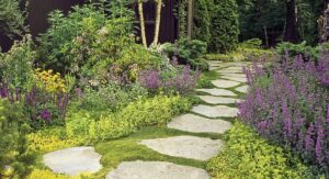 Ground Cover Plants Basics That Every New Gardener Should Know: