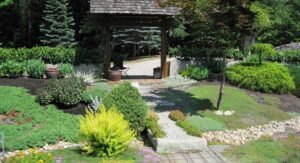 Ground Cover Plants for Sun Tough Choices for Hot Dry Areas: