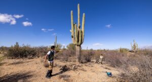 Desert Plants Fungal Infections Spread Faster Than Most Growers Expect: