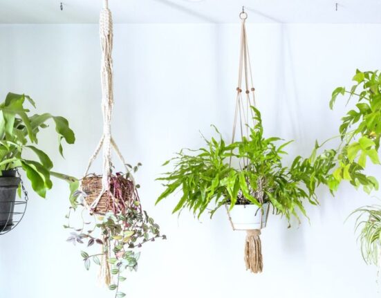 Hanging Plants - 7 Proven Tricks!