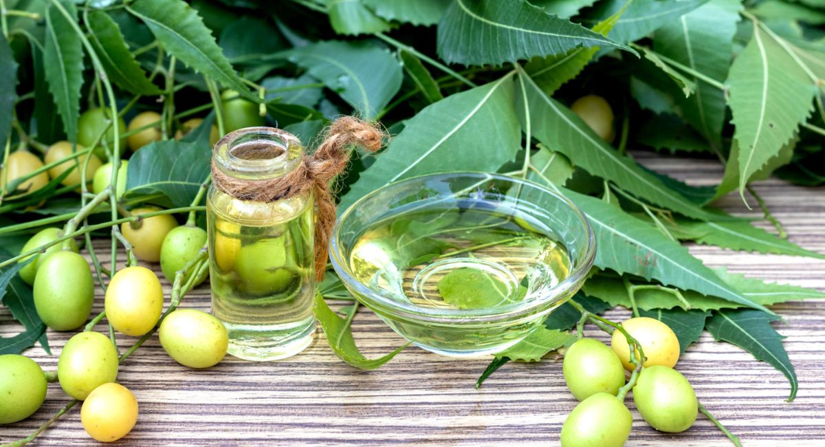 Neem Oil for Plants - 7 Shocking Secrets!