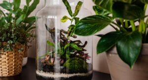 Plants Inside a Terrarium Create Stunning Living Glass Art: