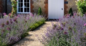 How to Plant Lavender: Variety Comparison and Care Chart