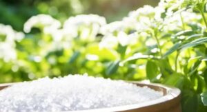 Epsom Salt for Plants Chemistry Explains Every Benefit It Delivers: