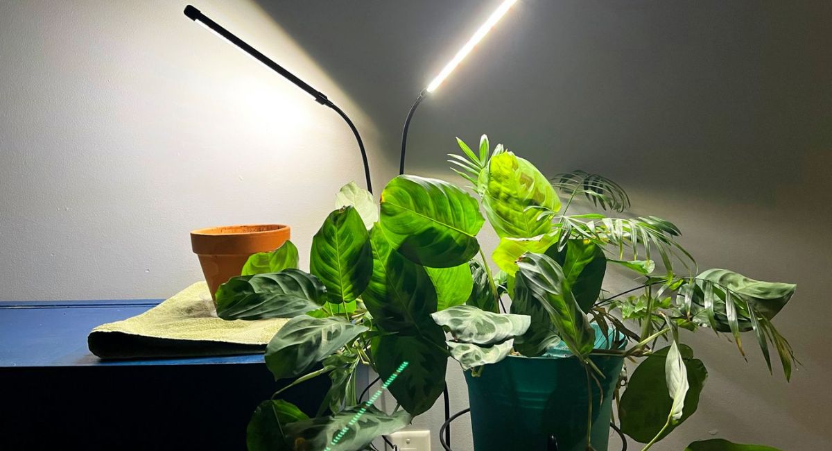 Grow Lights for Indoor Plants - 11 Amazing Picks!