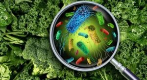 Symptoms of Food Poisoning: Dehydration Warning Signs Needing Care: