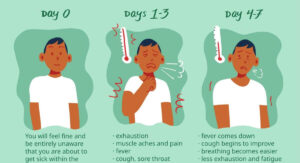 Influenza B Symptoms Day by Day: