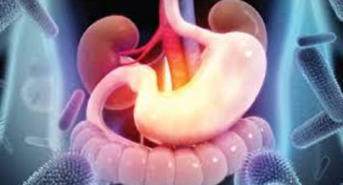 Stomach Flu - 7 Shocking Facts Nobody Tells You!