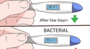 Viral vs Bacterial Infection Symptoms: How to Tell Apart
