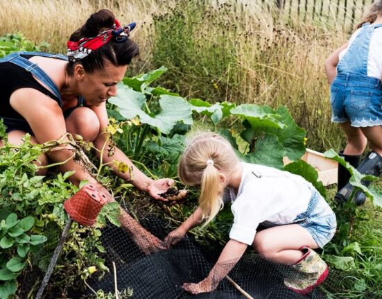 9 Powerful Reasons a Field of Plants Boosts Land and Life!