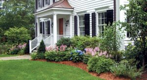 What Are Foundation Plants?