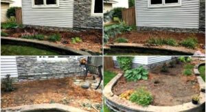 How to Care for Foundation Plants: Step-by-Step
