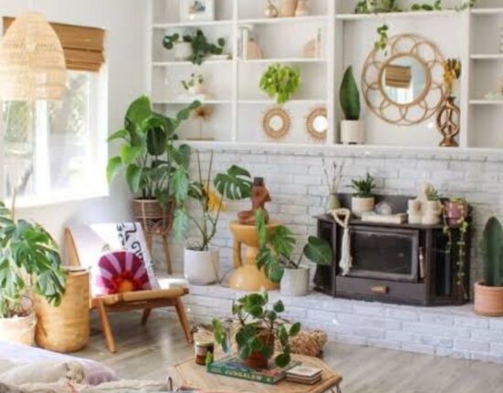 15 Best Indoor Plants That Will Transform Any Room Instantly!
