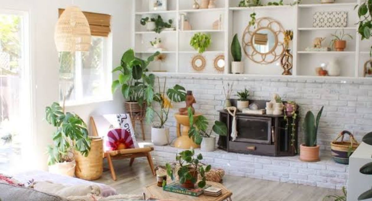 15 Best Indoor Plants That Will Transform Any Room Instantly!