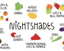 Allergy to Nightshade Plants - 7 Warning Signs!